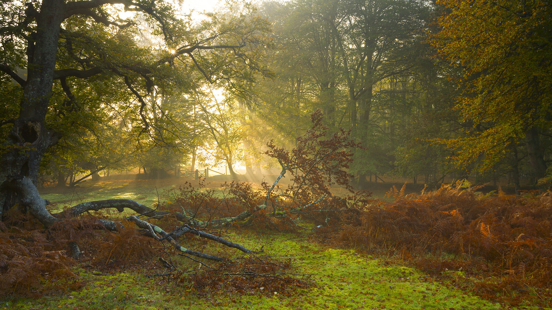 智能体育装备标准制定,智能体育使用的技术