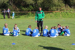 mk体育下载-法甲球队防守战术调整后定位球防守成功率提升分析，法甲实力定位