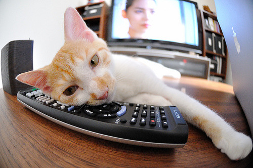 mk体育-“2025世界运动会：沙滩合球给沙滩带来全新风景”