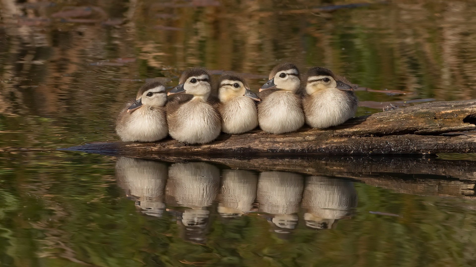 中国U19男篮征战世青赛 小将成长迅速,u19男篮世青赛 2019