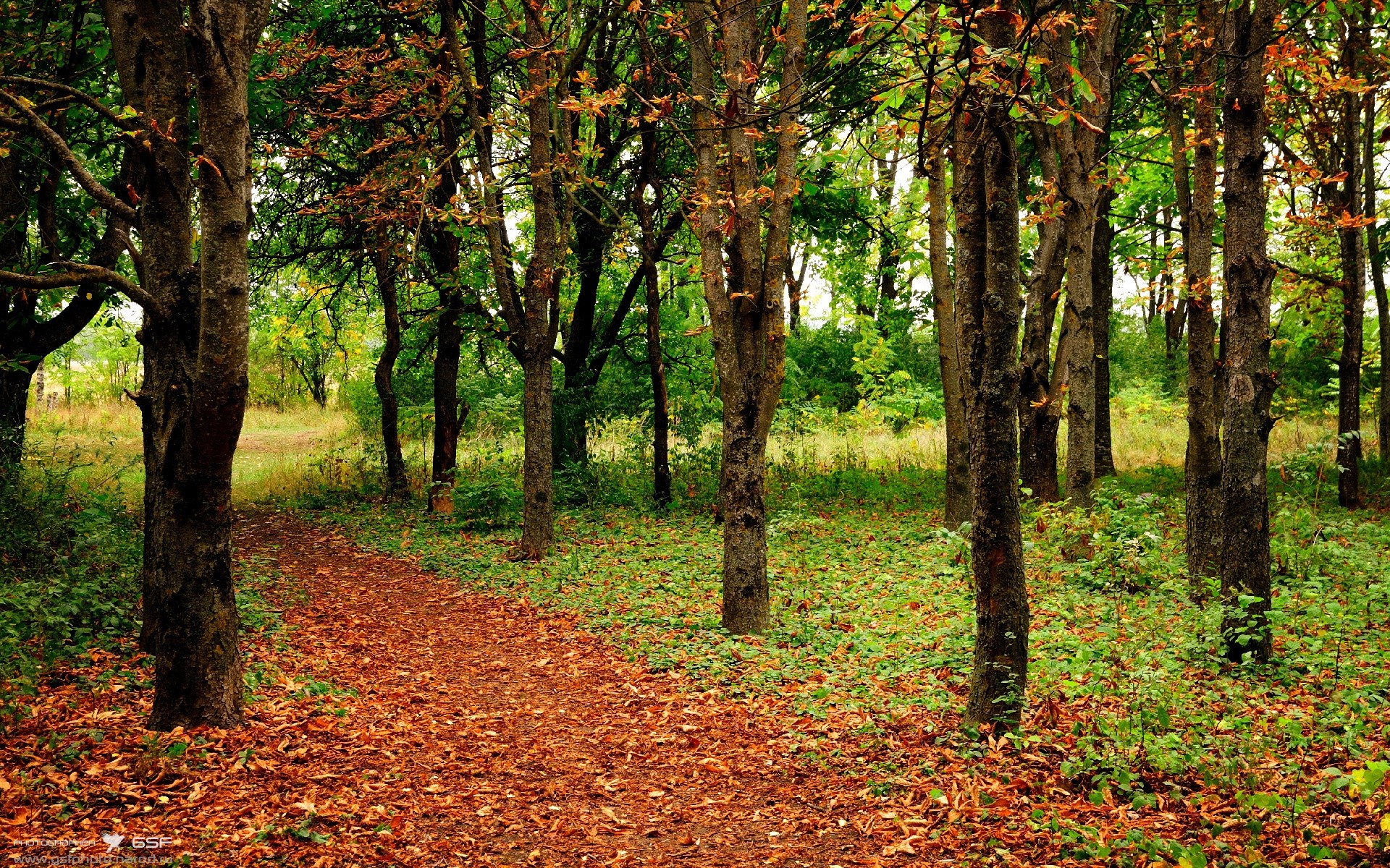 mk体育app下载-中超联赛VAR系统升级提升执裁精准度，足球var裁判