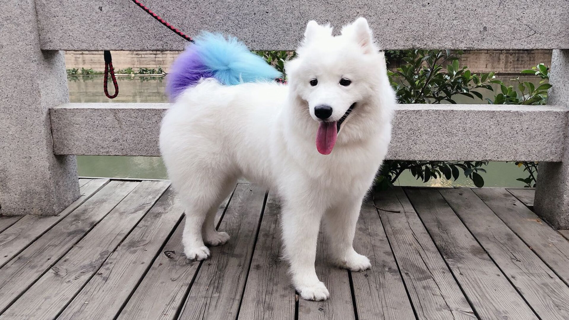 mk体育全站-博卡中场组织略显混乱，传递失误多，博卡vs竞技实时比分