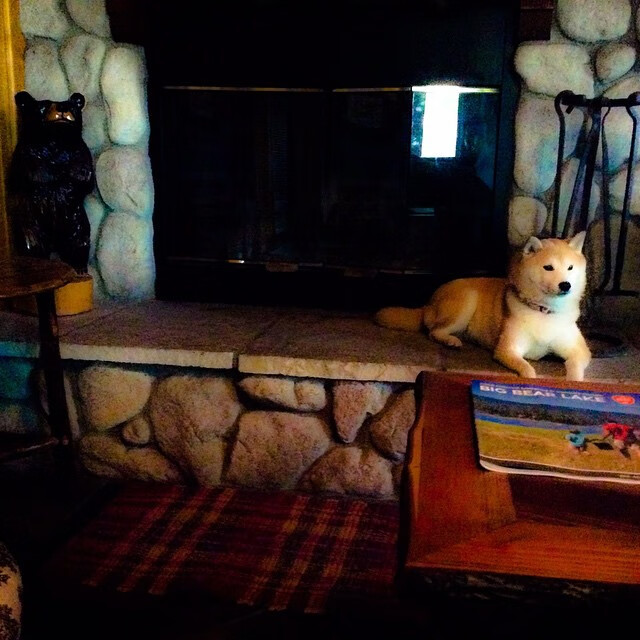 mk体育网址-慢节奏比赛是否更容易维持比分接近，慢节奏比赛是否更容易维持比分接近正确