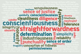 mk sport-掩护与节奏配合的默契度是否决定出手质量，掩护配合的方法和要求