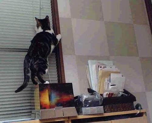 球队是否通过压缩空间控制节奏避免比赛崩盘,足球应用了压缩空气的原理