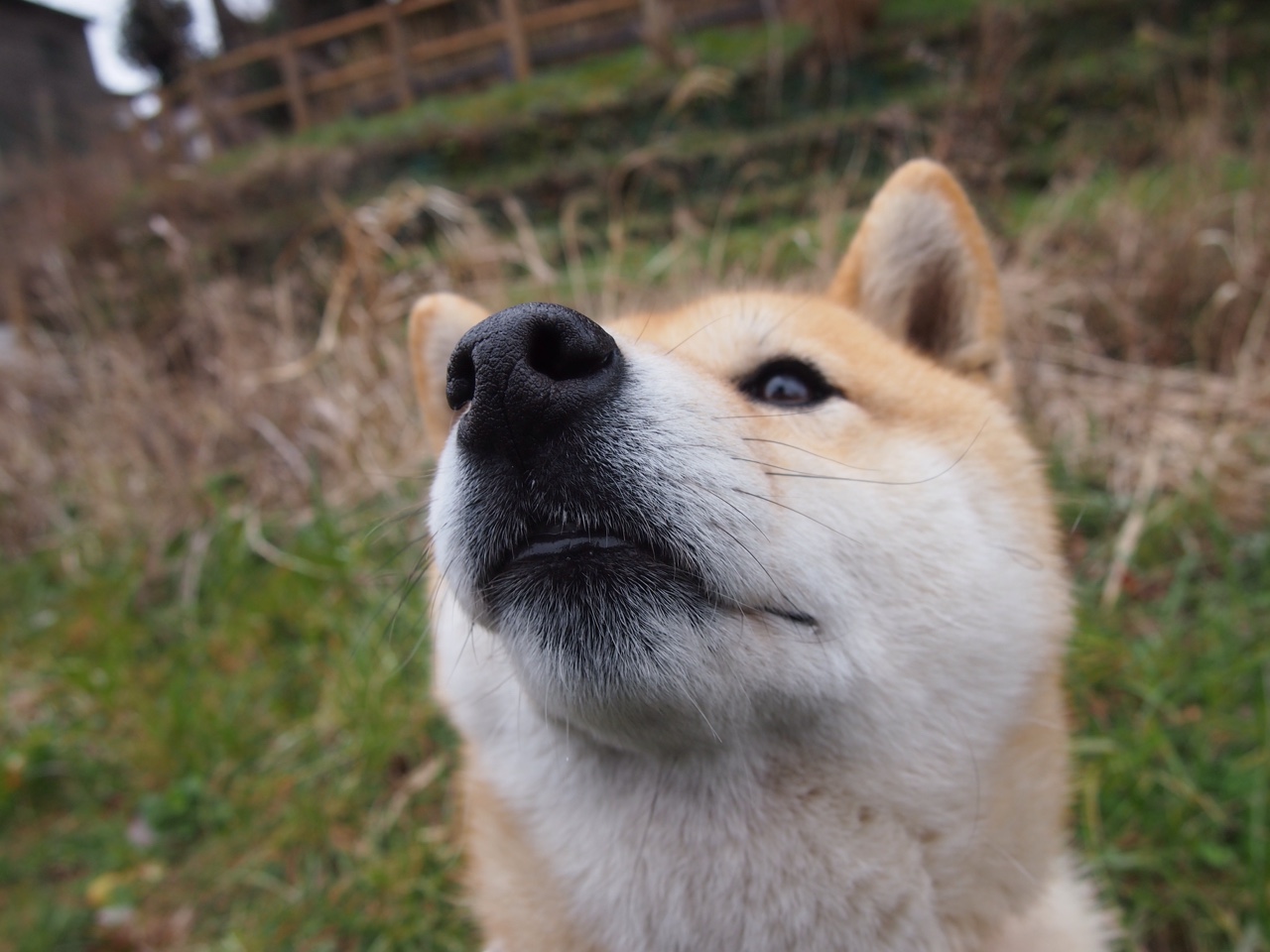 mk体育全站-自由搏击青年组赛事开放报名人数激增，自由搏击青少年锦标赛