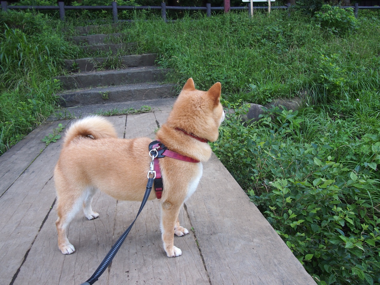 中国女排出战前集体合影致敬前辈,中国女排出征队员名单