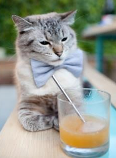 欧洲杯激烈冲突:战术变化带来全场高潮,2021欧洲杯冲突